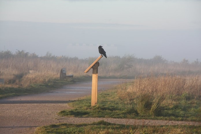 Port Sunlight River Park