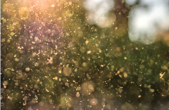 Via Istockphoto